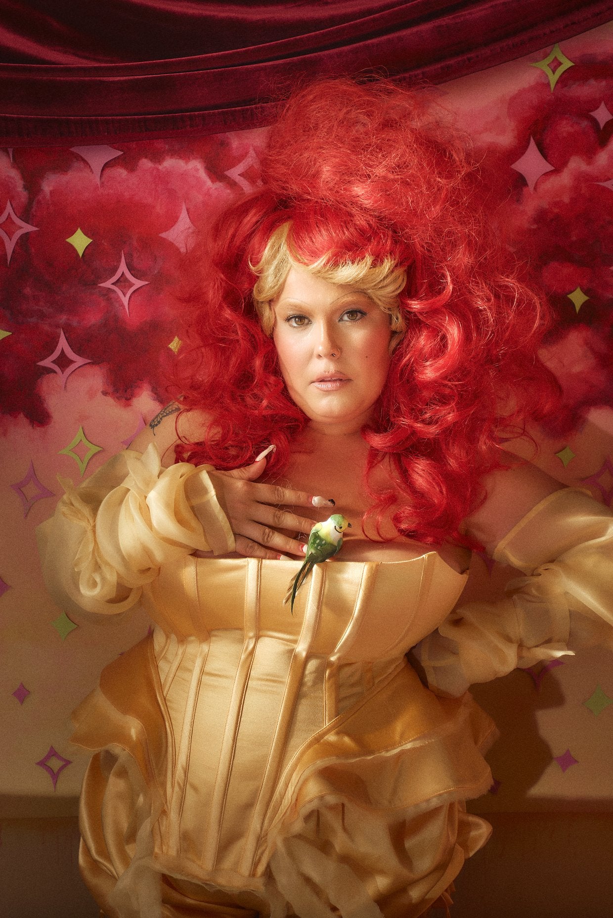 Begonia – Birthday Cake Media